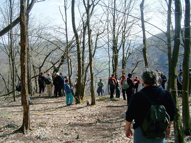 20100417 048.jpg
